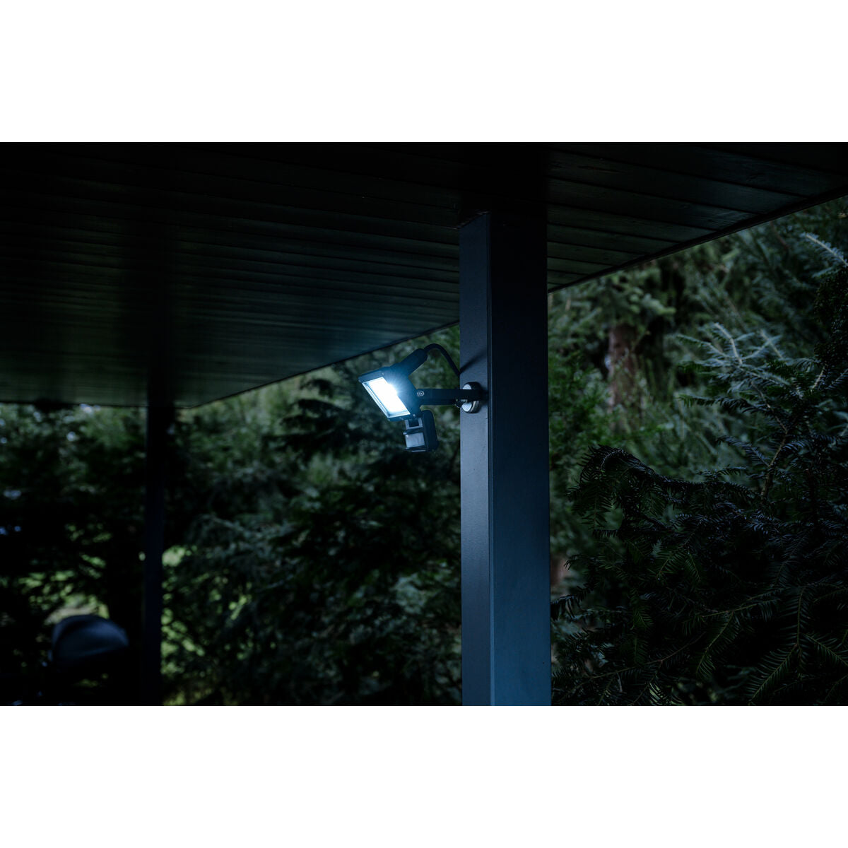 V2H69B41C39F77B74C67CEBE5CD04B15277R7197965P8