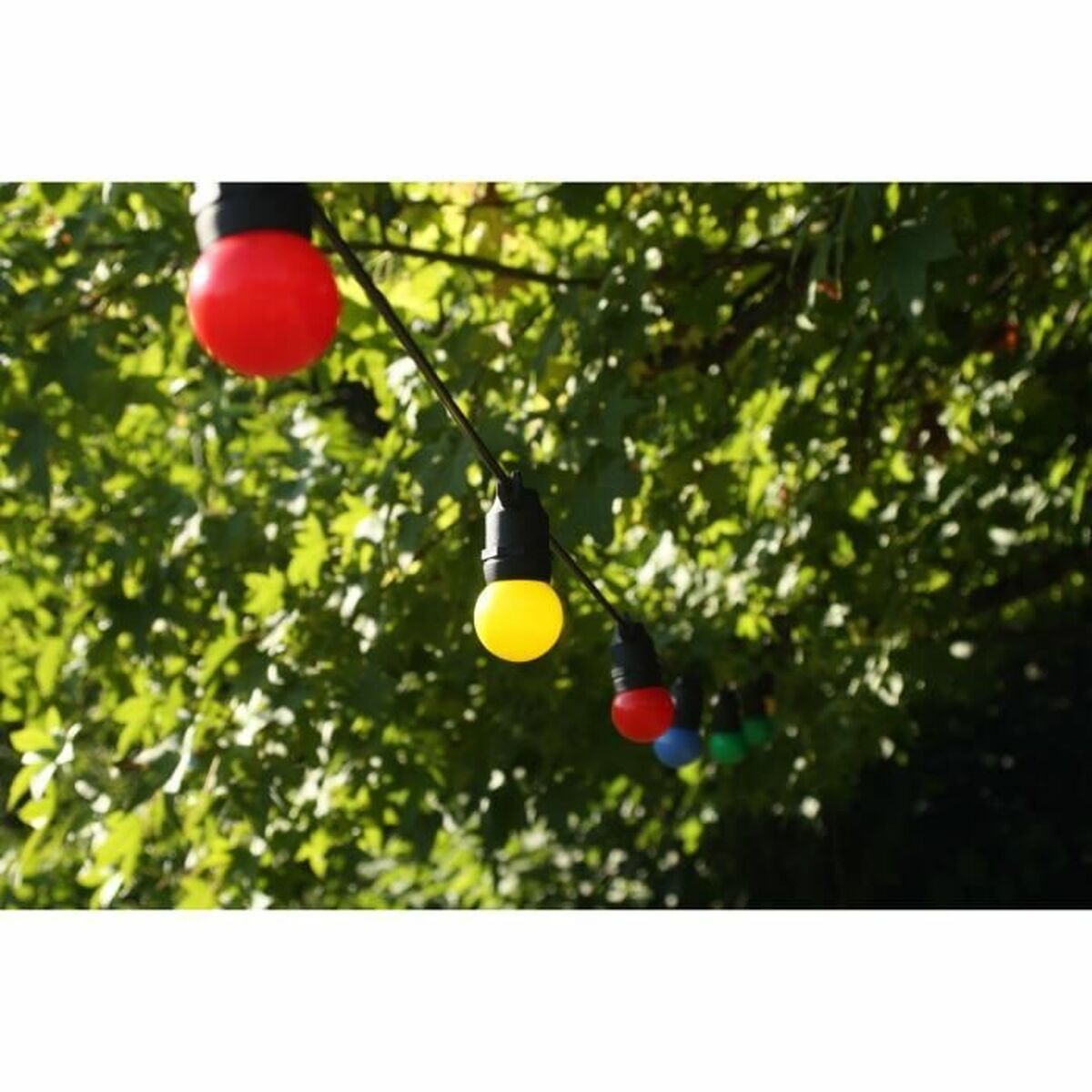 V2H8A97412CEBD38C9701869D08E137B911R7327697P5