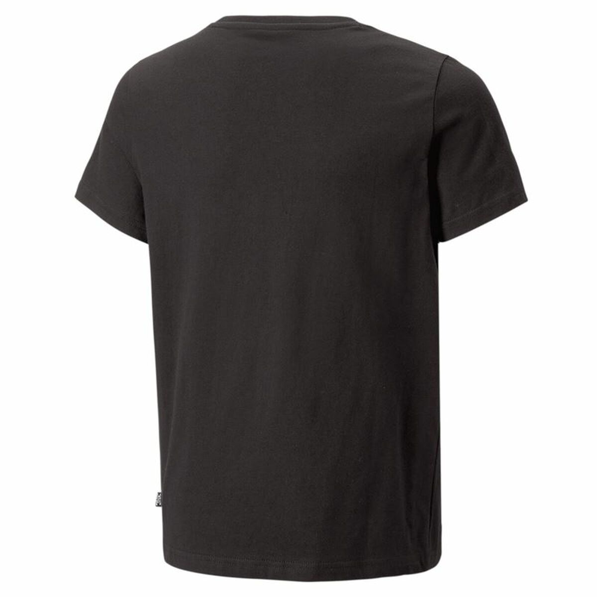 V6HC05290E3CD4336089BBFABC5D36DE9F0R4486988P2