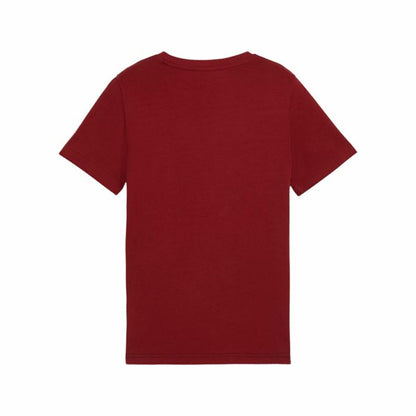 V4H42F9541B7963C661A63B0D7BD978ECD1R5464184P2