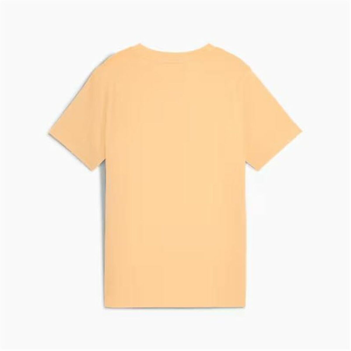 V3H6D6D87425058E05F4A5855C513DDAEABR6082615P3