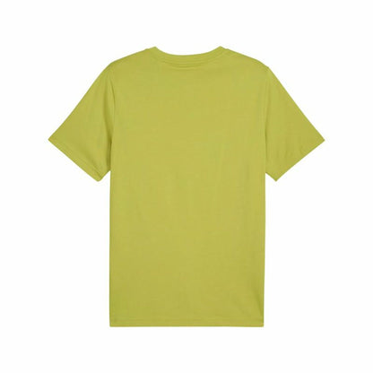 V3HDE8FB2ED35207151C409C4186D290205R6081181P2