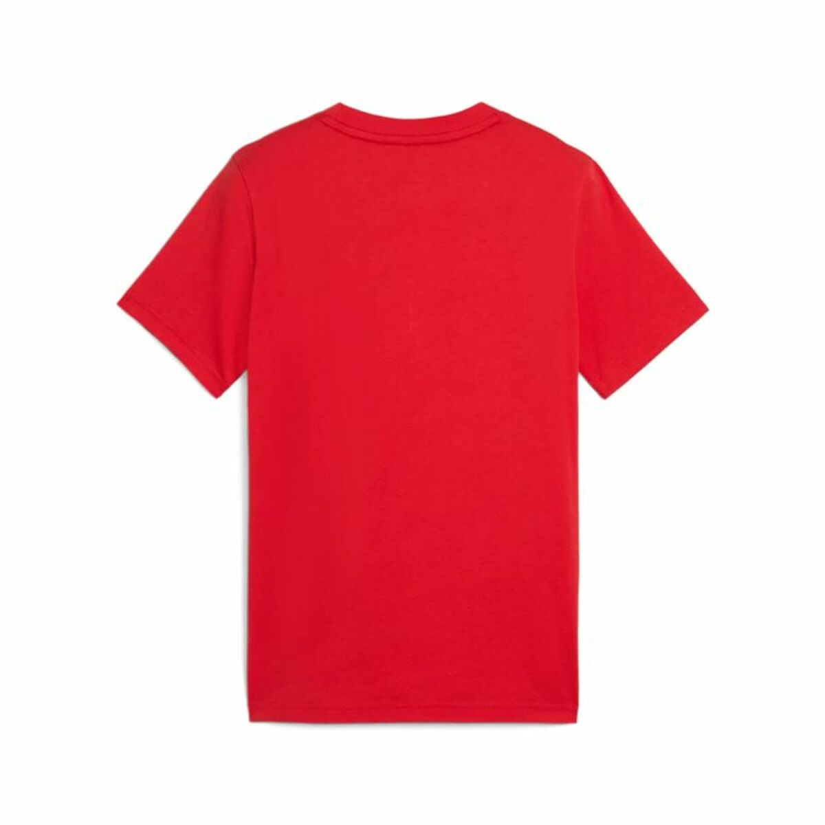 V3H08BE5F6193EED612A8CF74EC7BD696BFR6019317P2