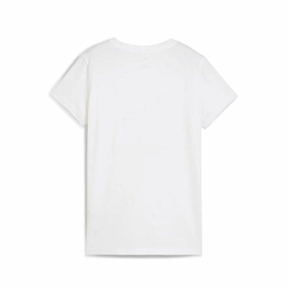 V3H677FEE03F76423B7A8B43144D3A4D91AR6162261P2