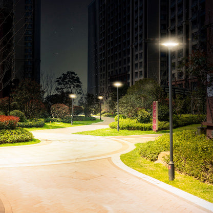 V4H8C83D02D79E4F4237152410E8B288FD4R7122511P4