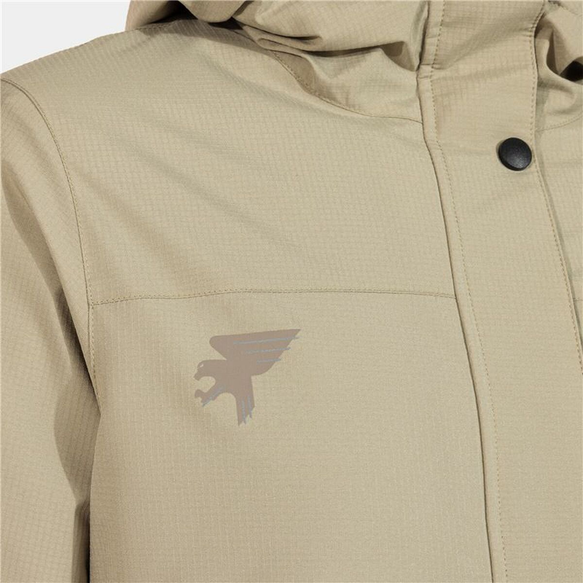 V5HDAE534EA467A850CF1CCF34F226244B1R5559440P3