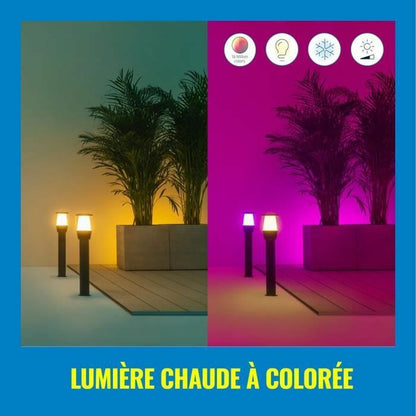 V6H5BCE3559D11B79C5A4A90A677FDEAABBR4269028P3