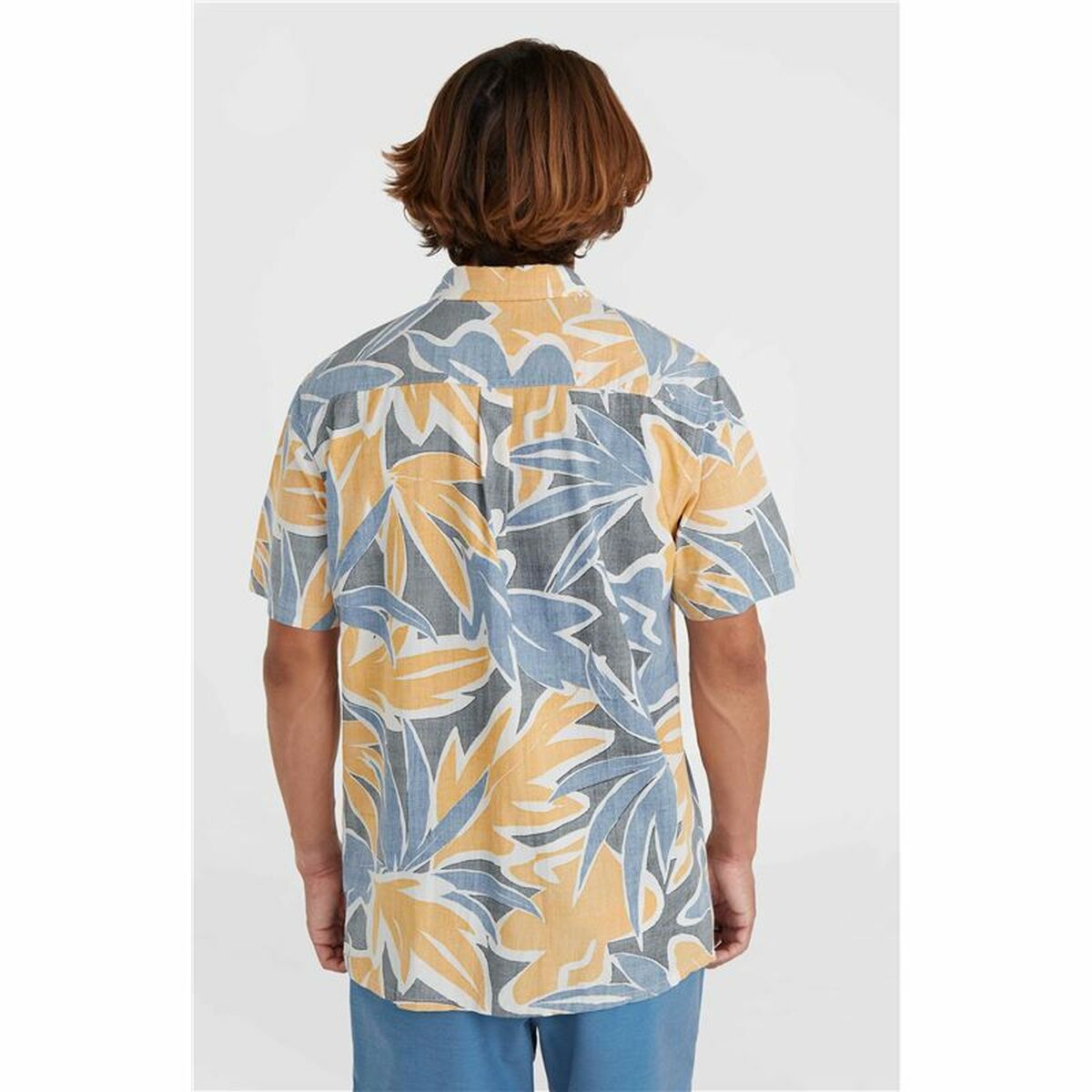 V4H4C3BC580FCDC5C14B1043639C14812CAR4797287P3