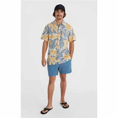 V4HE49238546FD1129232AA1B1005EDC880R4797293P6