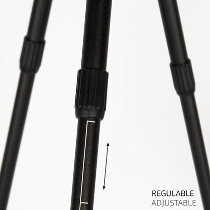 V3H1D0DBBEAE71A533ECE2E1F274C2C46A8R5649350P4